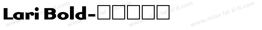 Lari Bold字体转换